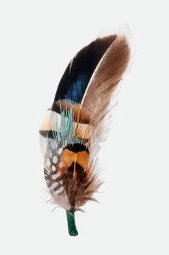 Brixton Hat Feather