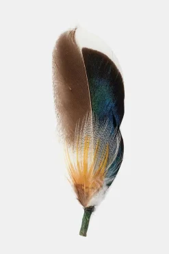 Brixton Hat Feather