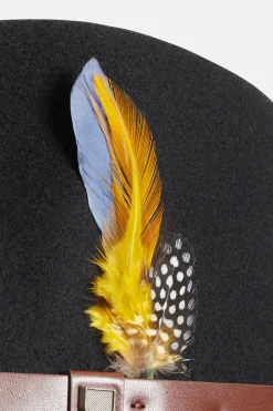 Brixton Hat Feather